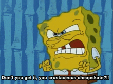 Spongebob Dont You Get It GIF - Spongebob Dont You Get It Crustaceous Cheapskate GIFs