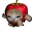Applecatrun Sticker - Applecatrun Apple Cat Stickers