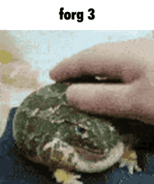 Frog Forgive Me GIF - Frog Forgive Me Three GIFs