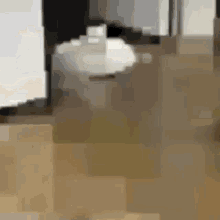 cat kitty fat walking pixelated
