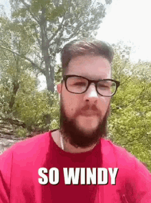 brice windy