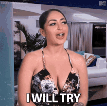 I Will Try Angelina GIF - I Will Try Angelina Leave It To Me GIFs
