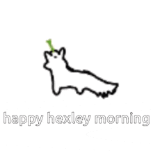 Happy Hexley Morning GIF - Happy Hexley Morning Hexley GIFs