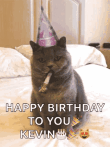 Birthday Happy GIF - Birthday Happy Cat GIFs