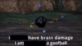 a picture of a goofball with the words i have brain damage i am a goofball