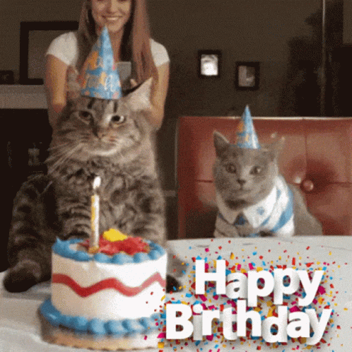 Happy Birthday Cat GIFs | Tenor