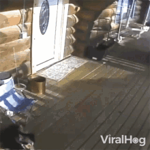 Moose Chases Dog Viralhog GIF - Moose Chases Dog Viralhog Running Away GIFs