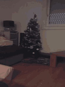 Wednesday Merry Christmas GIF