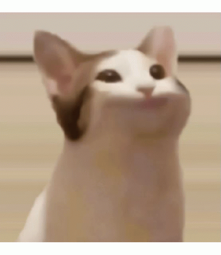 Pop Cat GIF - Pop Cat Funny - Discover & Share GIFs