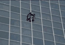spider spiderman