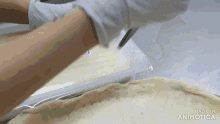 a person is cutting a piece of pizza dough into a plastic container .