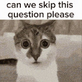 Mrnoob Can We Skip This Question Please GIF - Mrnoob Can We Skip This Question Please Canweskipthisquestionplease GIFs