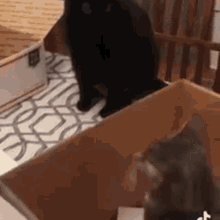 a black cat is sitting in a cardboard box next to a gray cat .