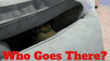 Sml Bowser Junior GIF - Sml Bowser Junior Who Goes There GIFs