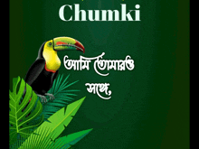 a green background with a palm leaf and the word chumpi
