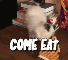Come Eat Food Is Ready GIF - Come Eat Food Is Ready Breakfast GIFs