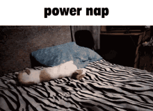 Cat Power Nap GIF - Cat Power Nap Power GIFs
