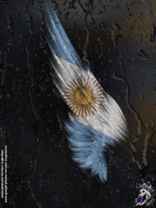 Alas Argentinas GIF