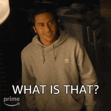 What Is That Craig GIF - What Is That Craig The Consultant GIFs