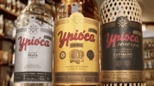 Cachaça Ypioca, Pinga Ypióca / Ypioca / Caipirinha GIF - Liquor Ypioca Drinking GIFs