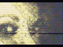 a black and white image with a yellow border