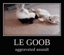 assault goob
