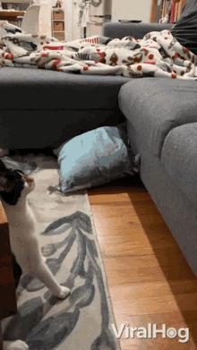 Cat Failed To Climb Couch Viralhog GIF - Cat Failed To Climb Couch Viralhog Bad Jump GIFs