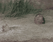 Trouble Sink GIF - Trouble Sink Quicksand GIFs
