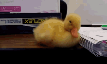 When You Can'T Stay Awake In Class #animals #cute GIF - Duck Duckling Sleepy GIFs