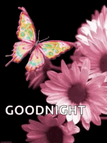 Goodnight Butterflies GIF - Goodnight Butterflies Flowers GIFs