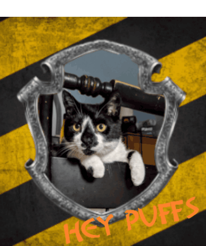 Hufflepuff Cat Sticker - Hufflepuff Cat Stickers