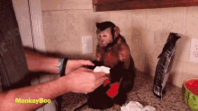 Give Me Your Hand Monkeyboo GIF - Give Me Your Hand Monkeyboo Wipe GIFs