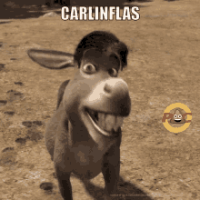 Pac Carlinflas GIF - Pac Carlinflas Burrospac GIFs