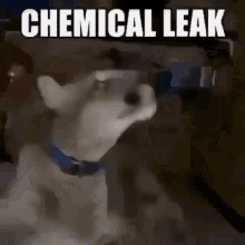 Chemical Chemical Leak GIF - Chemical Chemical Leak Chemicals GIFs