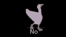 No Duck GIF - No Duck GIFs