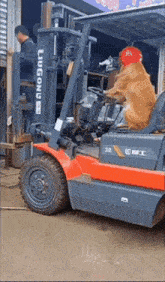 Forklift Dog GIF