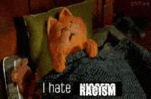 a stuffed cat is laying on a bed with the words " i hate racism " on the bottom