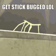Get Stick Bugged Lol GIF