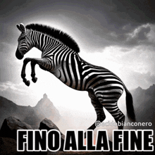 Fino Alla Fine Finoallafine GIF - Fino Alla Fine Finoallafine Acidobianconero GIFs
