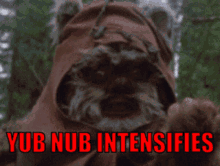 Ewok Return Of Jedi GIF - Ewok Return Of Jedi Star Wars GIFs