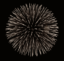 Fireworks GIF