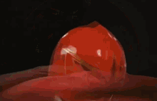 Mahou Sentai Magiranger Magi Red GIF