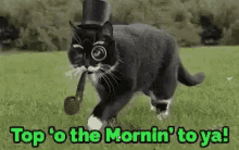 Top Top Of The Mornin To Ya GIF - Top Top Of The Mornin To Ya Cats GIFs