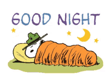Snoopy Good Night GIF - Snoopy Good Night Sleeping GIFs