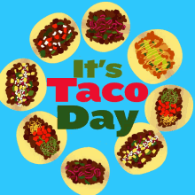 Taco Day Taco Tuesday GIF - Taco Day Taco Tuesday Its Taco Day GIFs