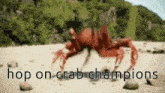 Hop On Crab Champions Crab Rave GIF - Hop On Crab Champions Crab Rave Crab Dance GIFs