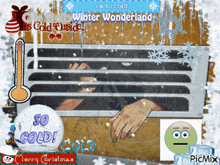 a picture of a person in a cage with the words i 'm so cold winter wonderland on the top