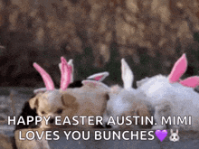 Easter Dogs GIF - Easter Dogs GIFs