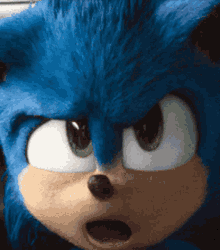 Sonic Wait What GIF - Sonic Wait What Whaat GIFs