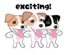 Dogs Dancing GIF - Dogs Dancing Exciting GIFs